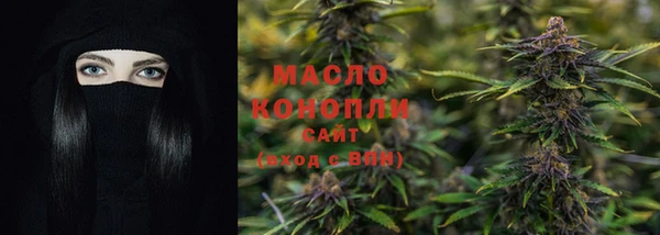 гашик Краснослободск