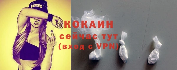 гашик Краснослободск
