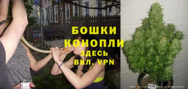 гашик Краснослободск