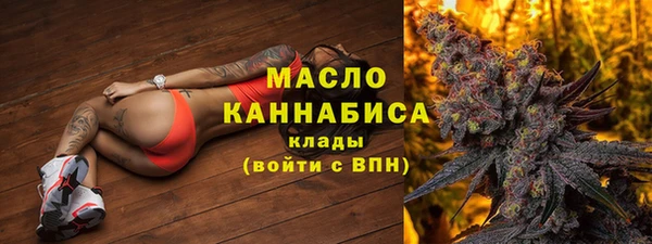 гашик Краснослободск