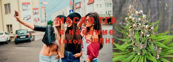 гашик Краснослободск