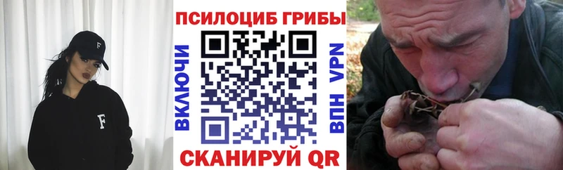 Псилоцибиновые грибы Magic Shrooms  продажа наркотиков  ОМГ ОМГ сайт  Ногинск 